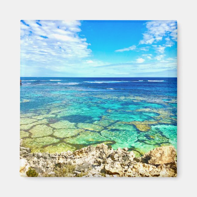 Imán Azure Ocean Reef (Frente)