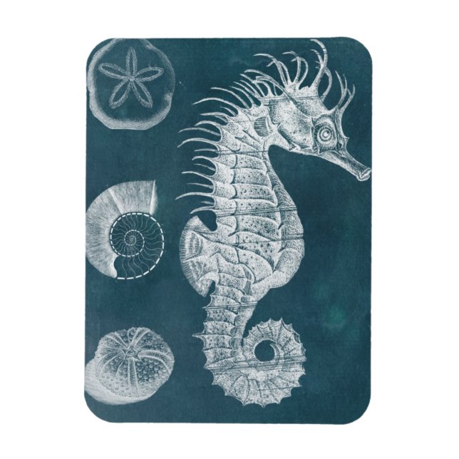 Imán Azure Seahorse Study I (Vertical)