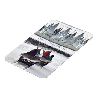 Imán Azure Winter Marvels