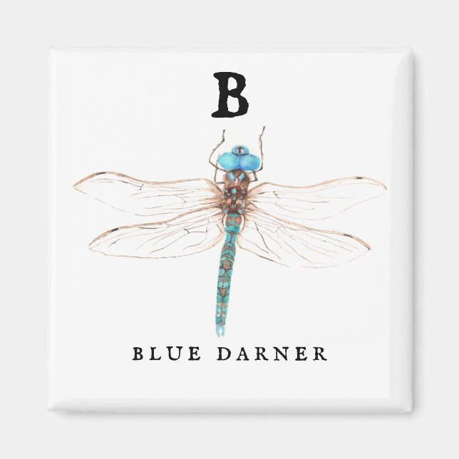 Imán "B" Blue Darner (Frente)