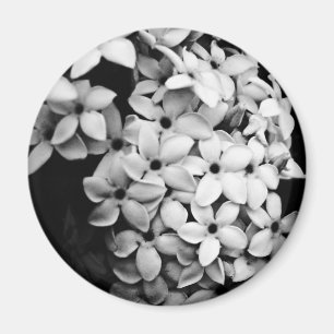 IMÁN B&W