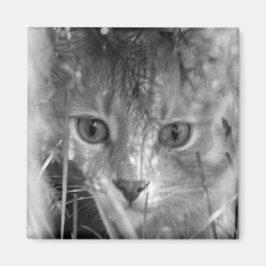 Imán B&W de la leyenda de la jungla