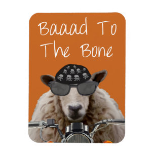 Imán Baaad to the Bone 2