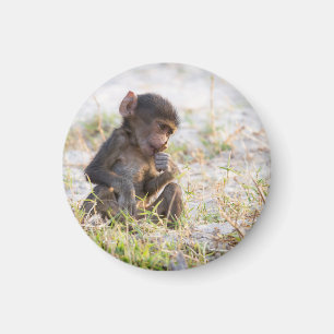 Imán Baboon joven
