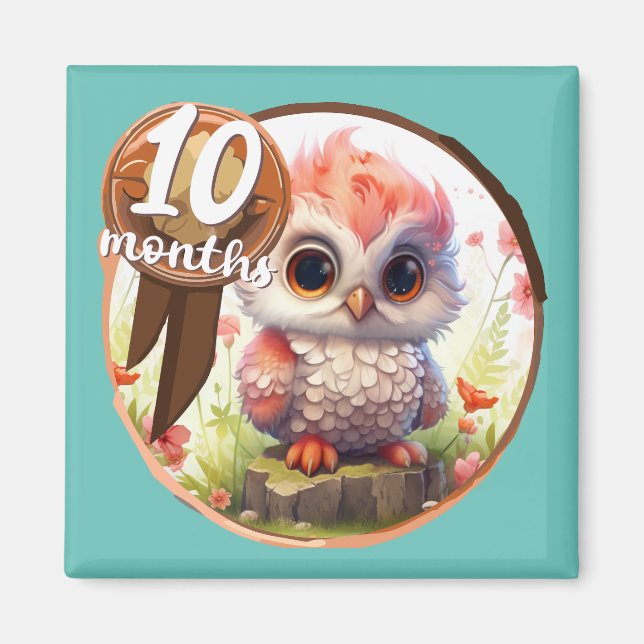 Imán Baby - 10 months too (Frente)
