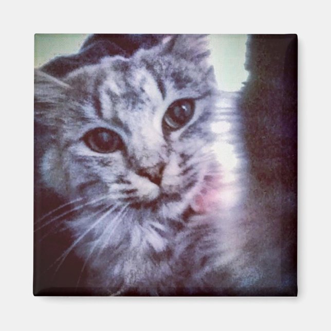 Imán Baby Artemis (Frente)