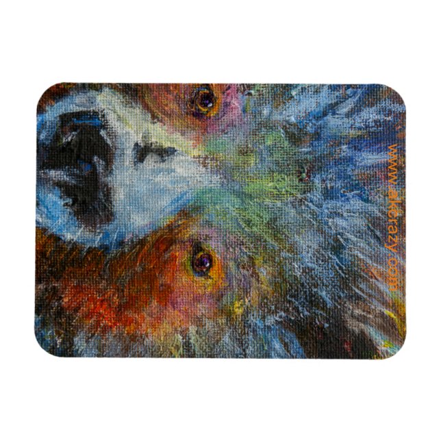 Imán Baby Bruin Magnet (Horizontal)