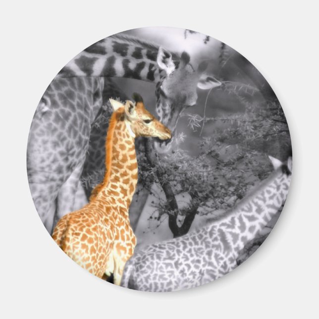 Imán Baby Giraffe (Frente)