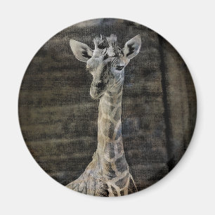 Imán Baby Giraffe