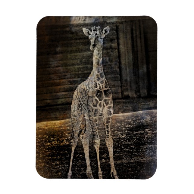 Imán Baby Giraffe (Vertical)