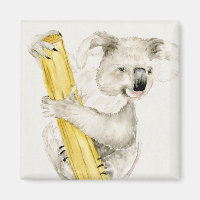 Baby Koala | Cute y Furry