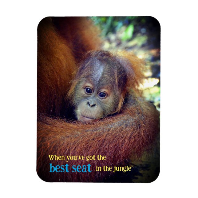 Imán Baby Orangutan (Vertical)