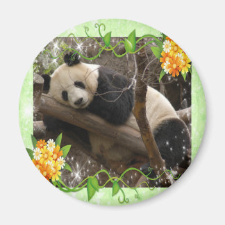 Imán baby-panda-00018-85x85
