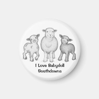 Imán Babydoll Sheep Magnet