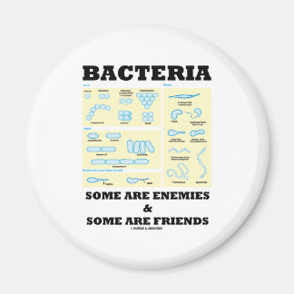 Imán Bacteria Algunos son enemigos y otros amigos