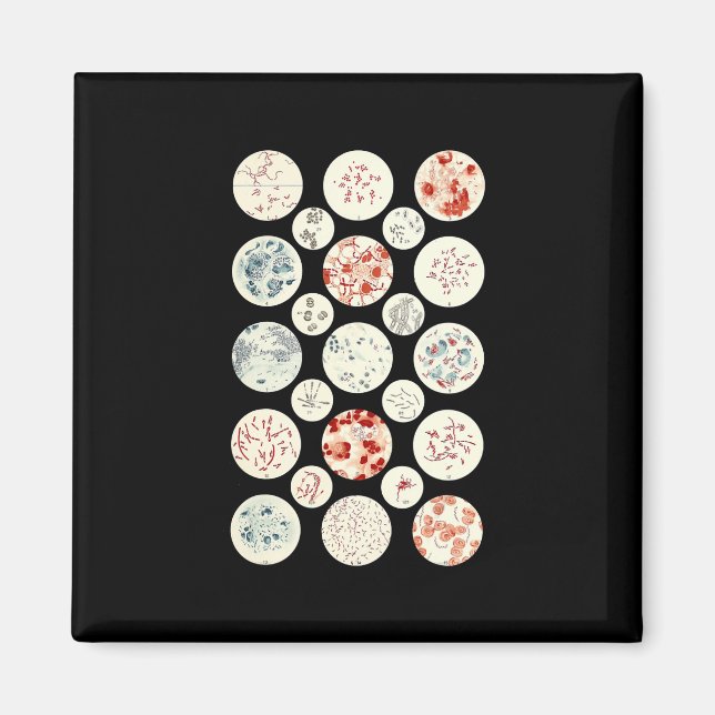 Imán bacterias microbiología divertida bacteriología ci (Frente)