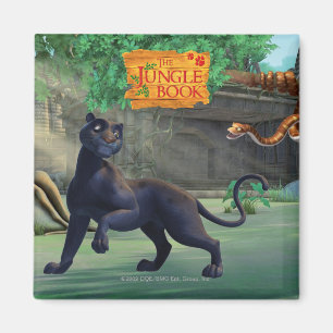 Imán Bagheera 3