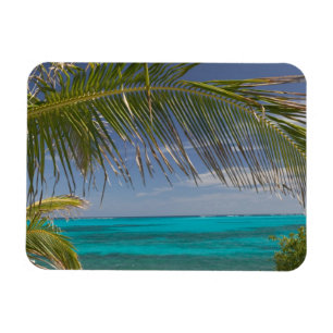 Imán BAHAMAS, Abacos, Cays Leales, Cayo Man O'War: