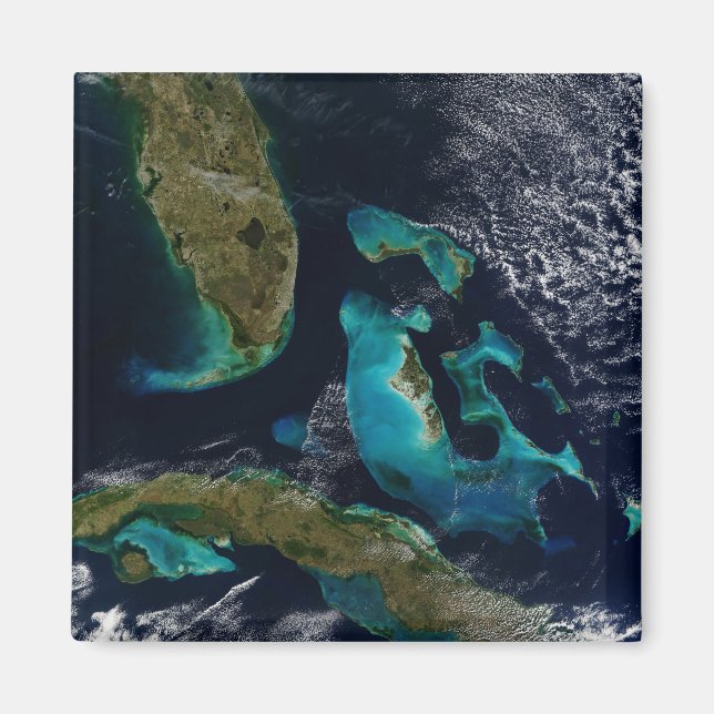 Imán Bahamas, Florida y Cuba (Frente)