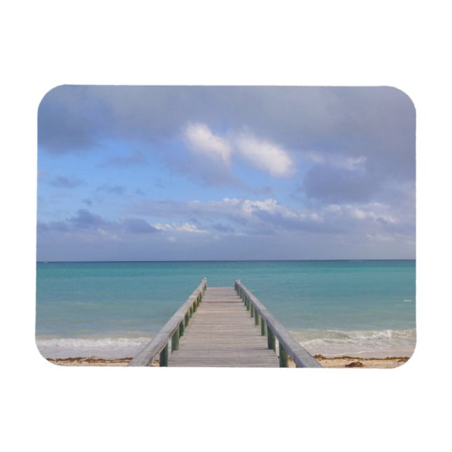 Imán BAHAMAS, Isla de Gran Bahama, Lado Este: (Horizontal)