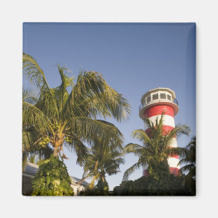 Imán Bahamas, isla Grand Bahama, Freeport, escenario