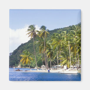 Imán Bahía de Marigot, Santa Lucía, Caribe
