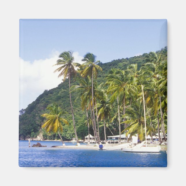 Imán Bahía de Marigot, Santa Lucía, Caribe (Frente)