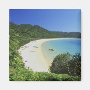 Imán Bahía de Tonga, Abel Tasman NP, Isla Sur, Nueva