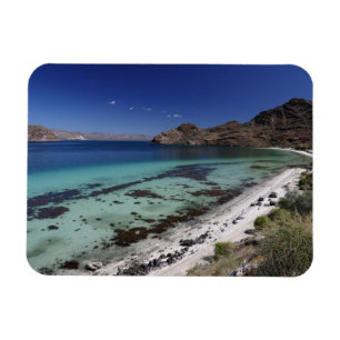 Imán Bahía del concepto de Baja