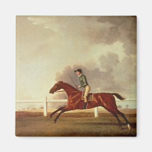 Imán Bahía Malton de George Stubbs el con John