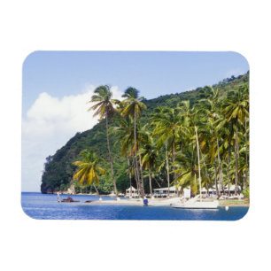 Imán Bahía Marigot, Santa Lucía, Caribe