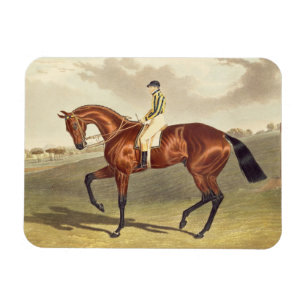Imán Bahía Middleton, ganador del Derby en 1836,