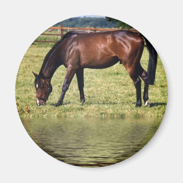 Imán Bahía reflectante (Frente)