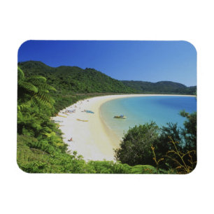 Imán Bahía Tonga, Abel Tasman NP, Isla Sur, Nueva