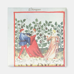 Imán Bailarines delante de las plantas de la escoba,