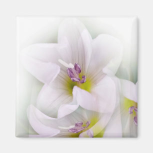 Imán baile de flores