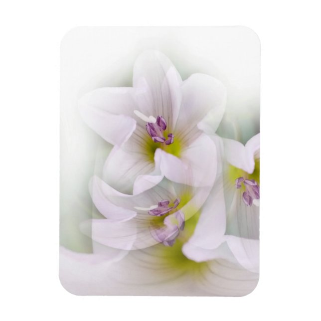Imán baile de flores (Vertical)