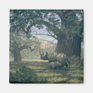 Imán Bajo el Baobab