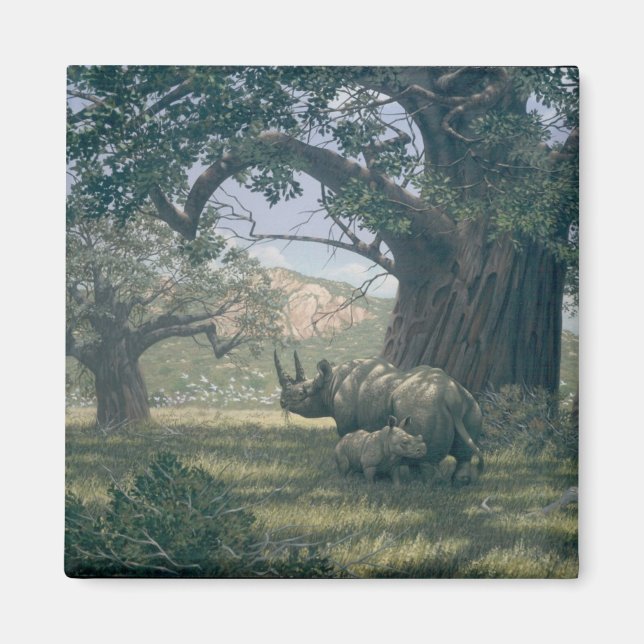 Imán Bajo el Baobab (Frente)