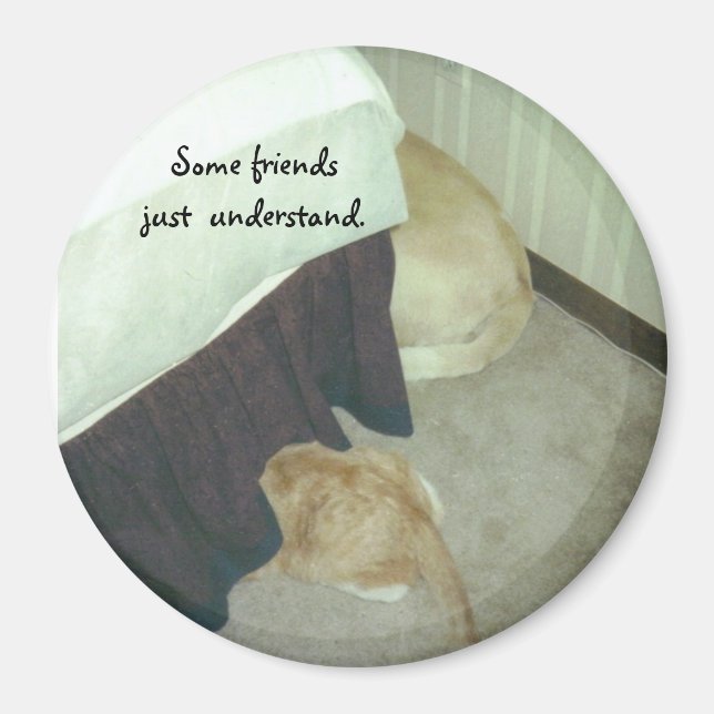 Imán Bajo la cama (Frente)