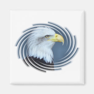 IMÁN BALD EAGLE