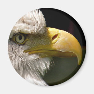 IMÁN BALD EAGLE