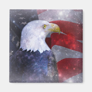 Imán Bald Eagle