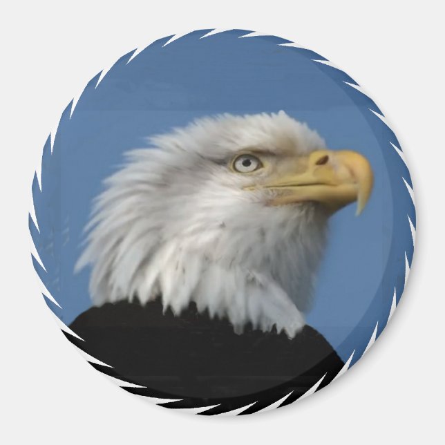 IMÁN BALD EAGLE -MAGNET (Frente)