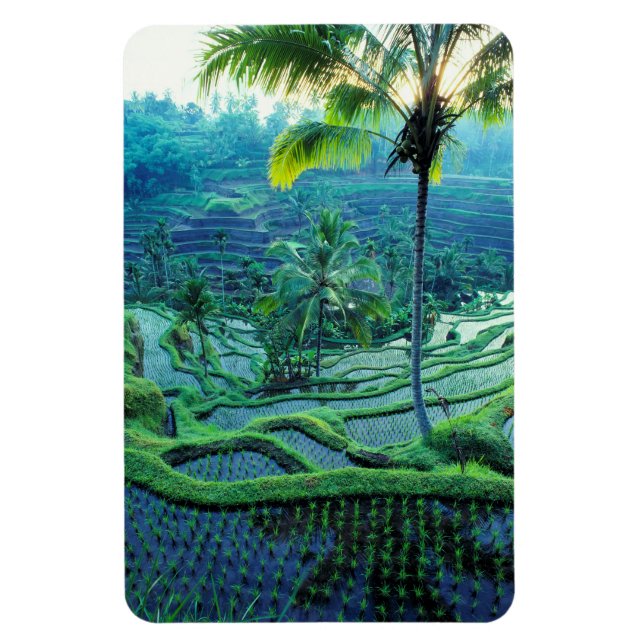 Imán Bali | Descripción general de las terrazas de arro (Vertical)