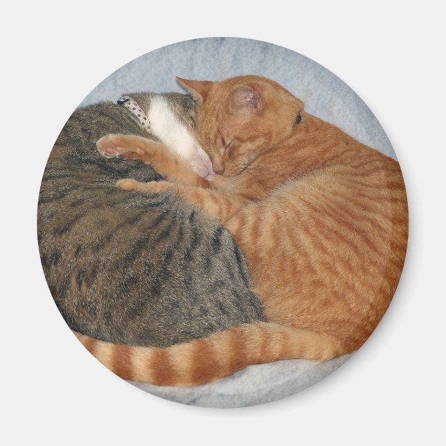 Imán Ball of Cuteness (Frente)