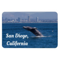 Ballena de un tiempo San Diego, CA