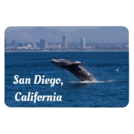 Imán Ballena de un tiempo San Diego, CA