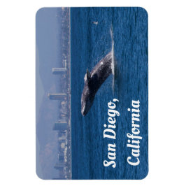 Imán Ballena de un tiempo San Diego, CA