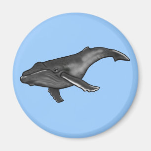 Imán ballena jorobada